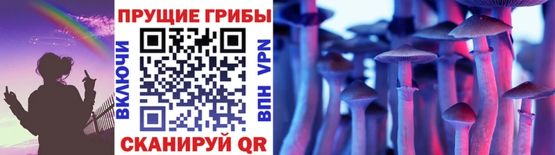 Псилоцибиновые грибы прущие грибы  купить наркотики цена  Урус-Мартан 